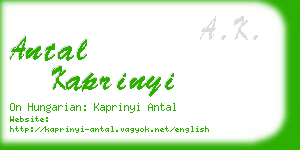 antal kaprinyi business card